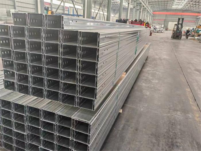 大跨距电缆桥架 (4)